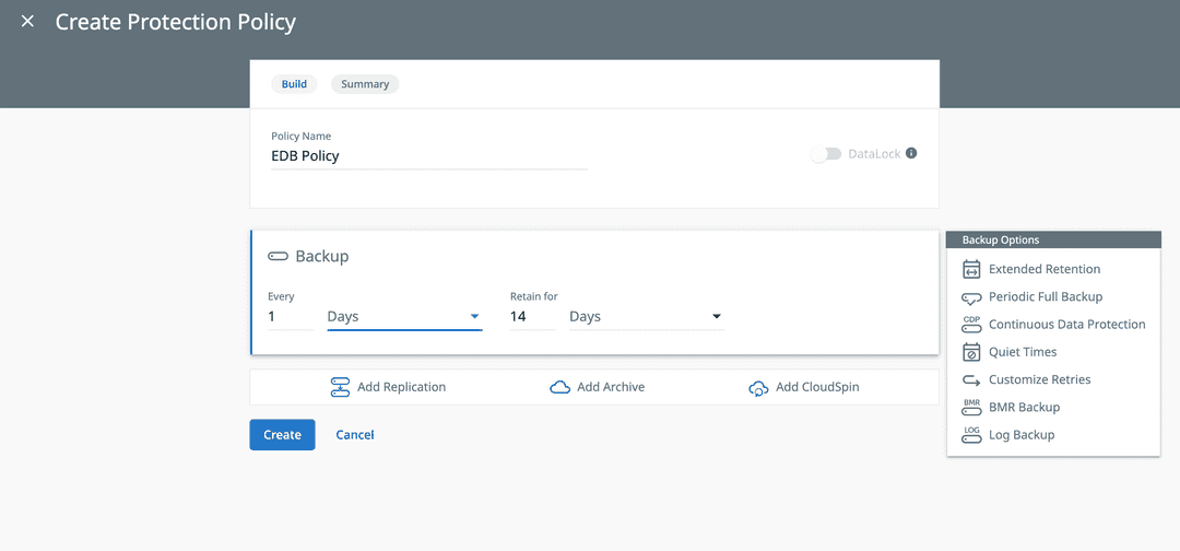 Cohesity Backup Options